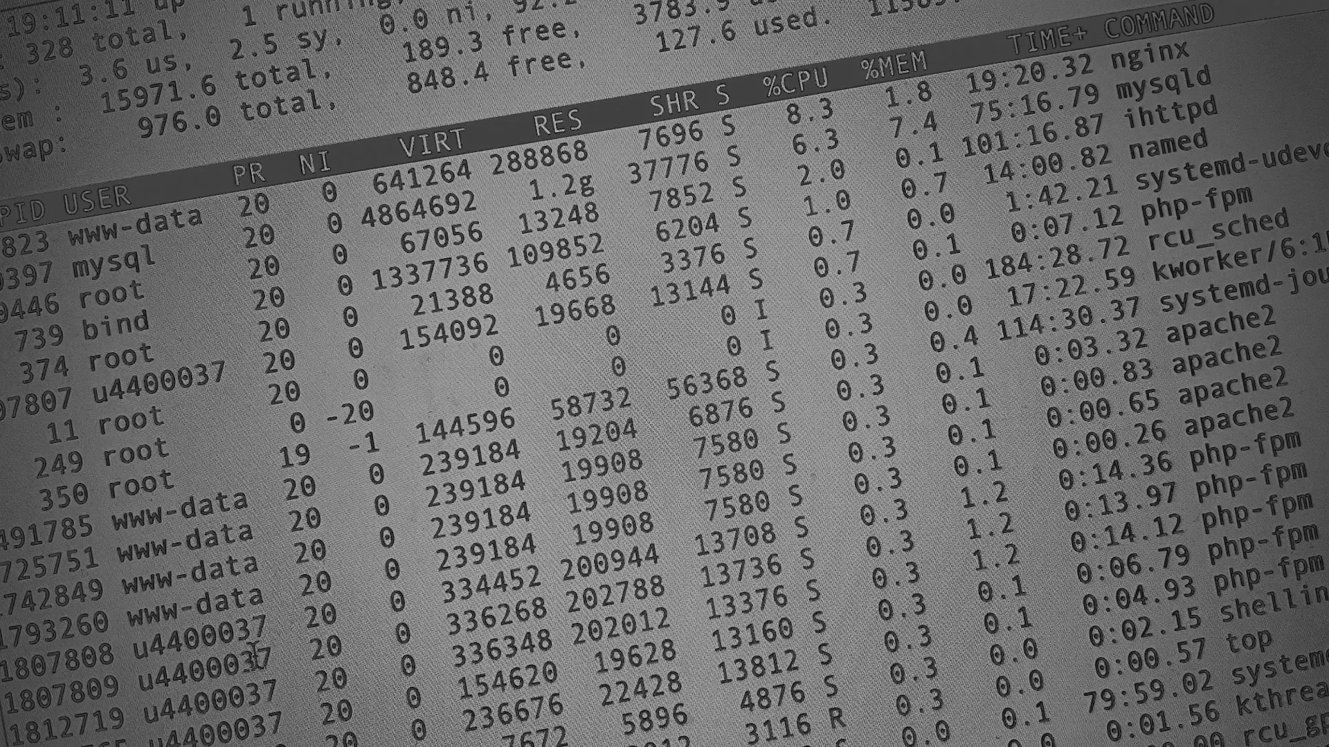 Настройка сервера в Новопавловске